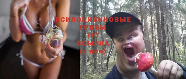 ешки Алексеевка